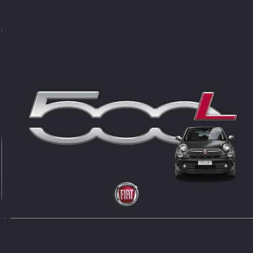 MOPAR Store Calotte specchietti titanio opaco per Fiat 500